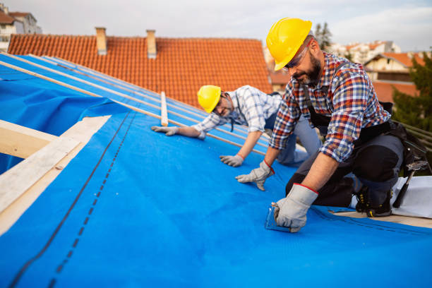 Best Metal Roofing Contractor  in Niles, MI